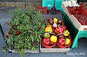 VBS_8095 - Inaugurazione 72.ma Fiera del Peperone di Carmagnola